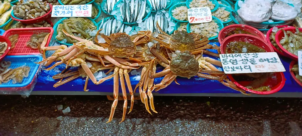 Raw seafood on display at a Mangwon Market stall in April 2023